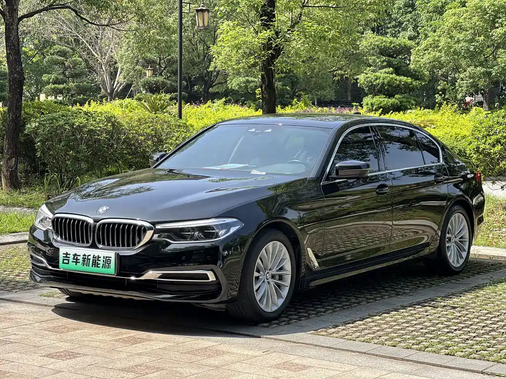 BMW 5 Series 2020 530Le Luxury Package