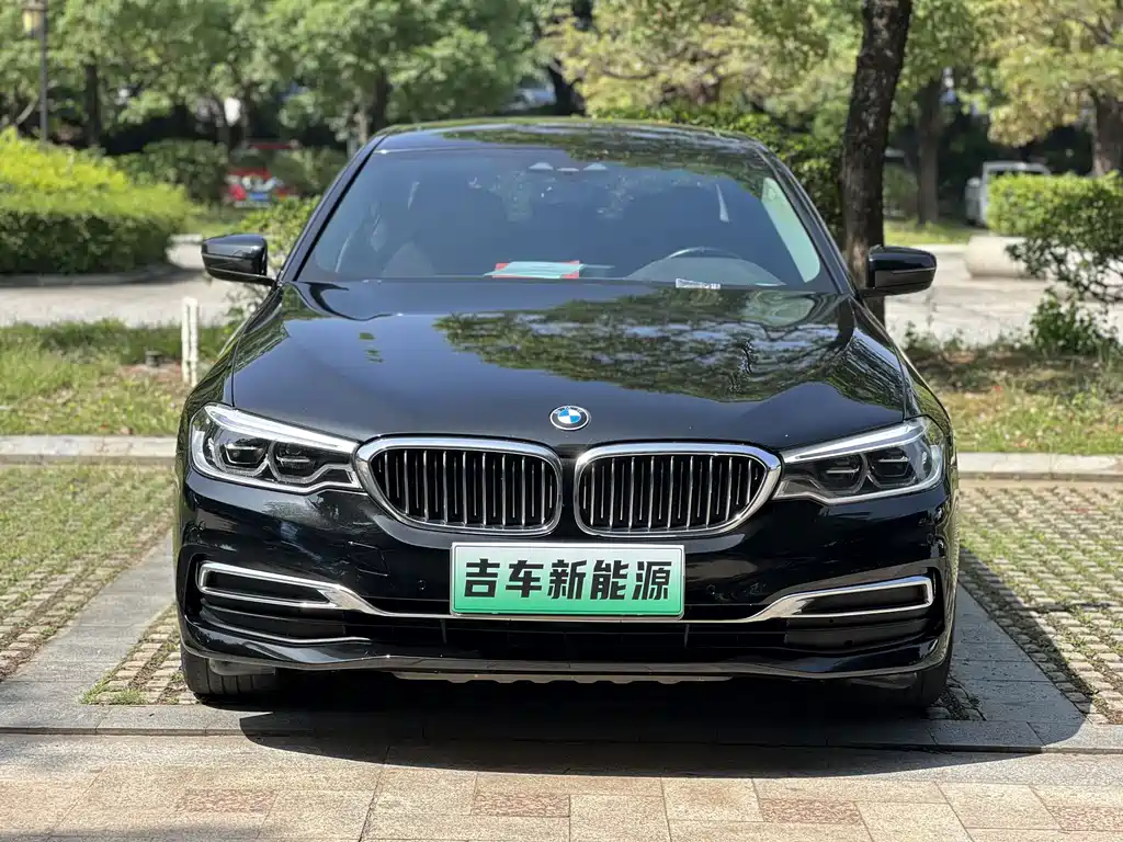 BMW 5 Series 2020 530Le Luxury Package