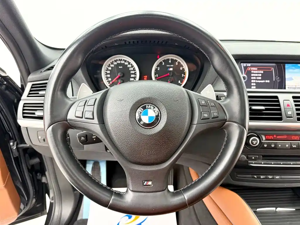 BMW X5 M 2010 X5 M