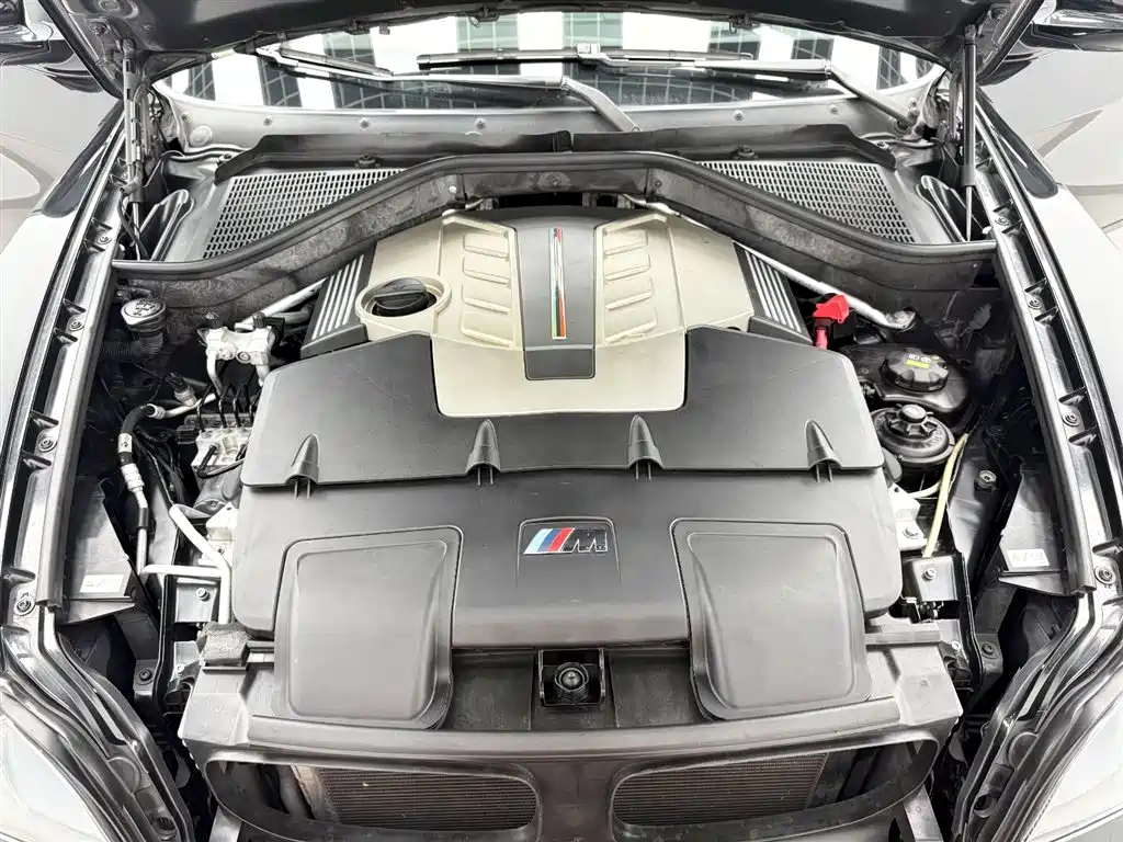 BMW X5 M 2010 X5 M