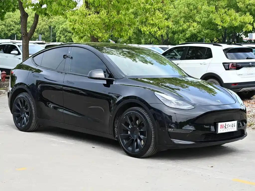 Model Y 2021 Long Range AWD