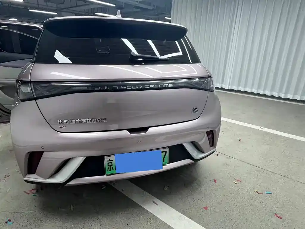 Dolphin 2023 420km Fashion Edition