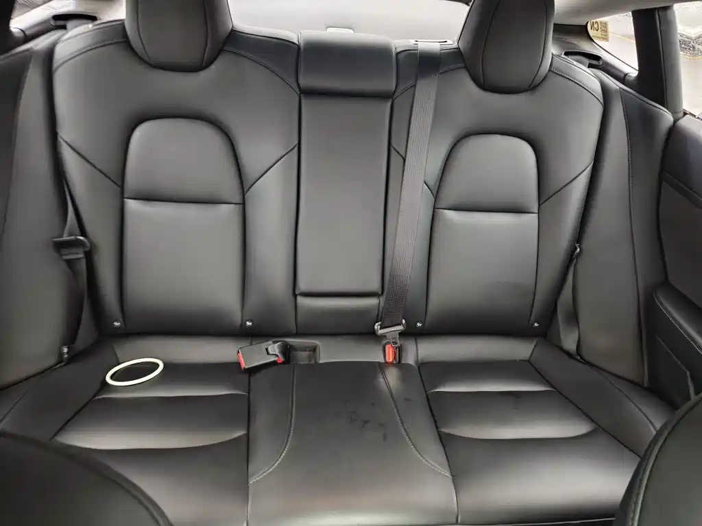 Model 3 2022 Rear-Wheel Drive