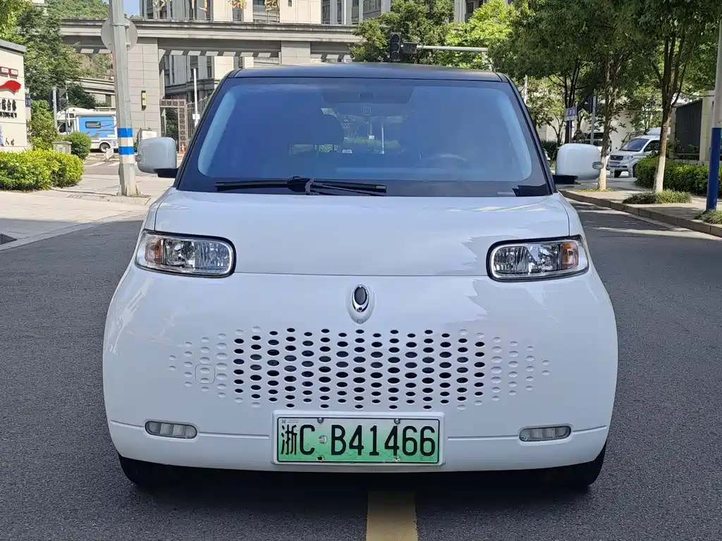 ORA White Cat 2022 Upgraded Edition 305km Luxury NCM