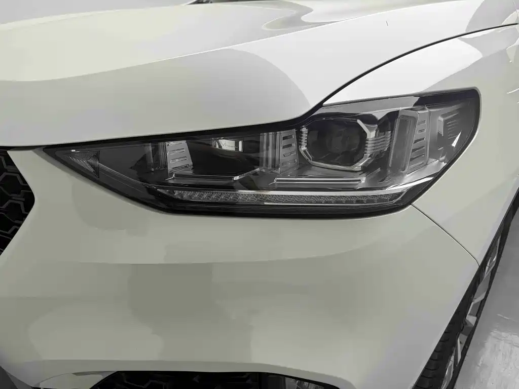 WEY VV6