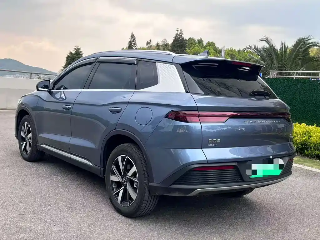 Song Pro New Energy 2024 Honor Edition DM-i 71KM Pilot