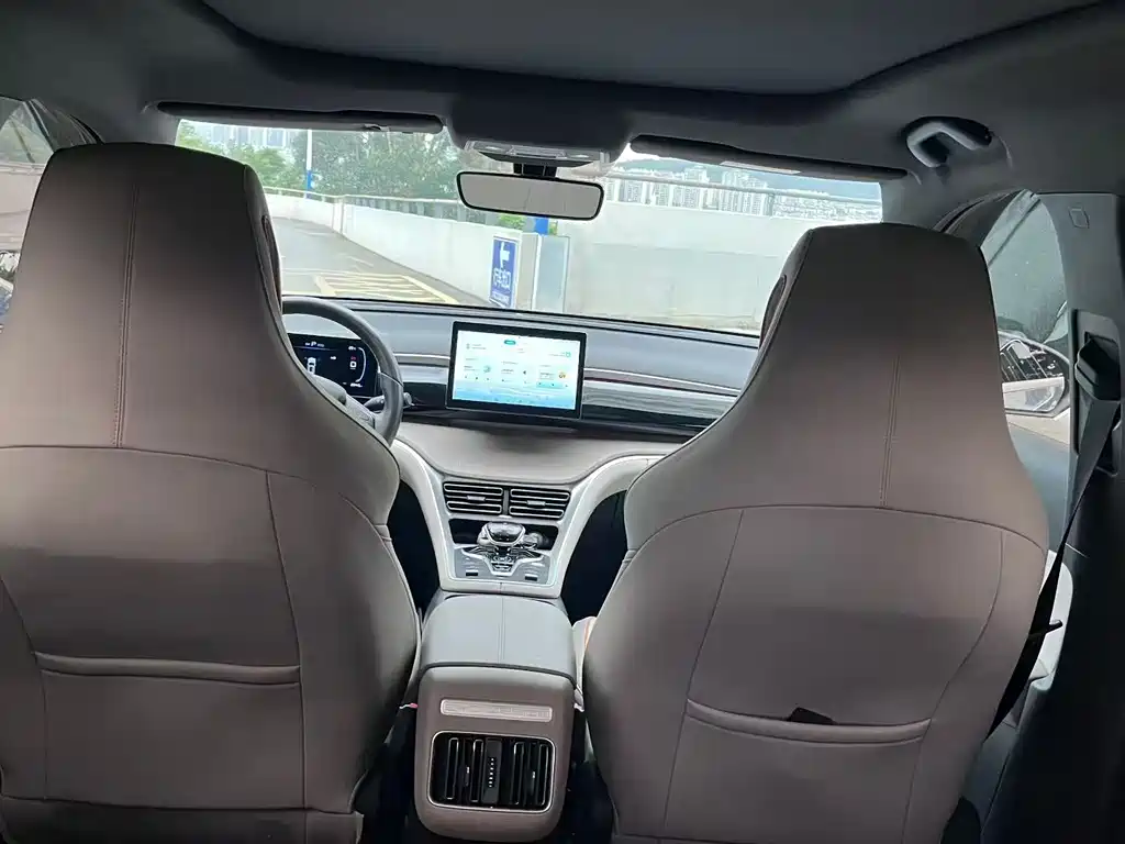 Song Pro New Energy 2024 Honor Edition DM-i 71KM Pilot
