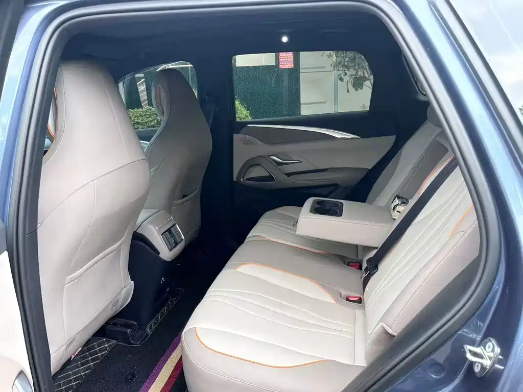 Song Pro New Energy 2024 Honor Edition DM-i 71KM Pilot