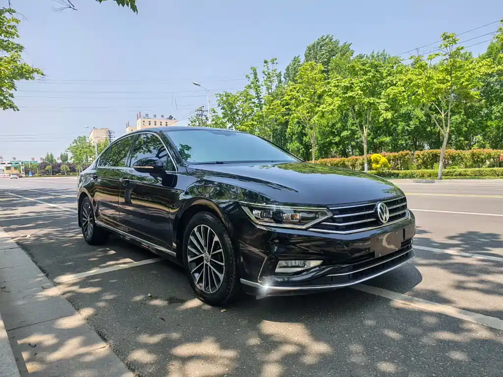 Volkswagen Magotan 2020 330TSI DSG Luxury Edition