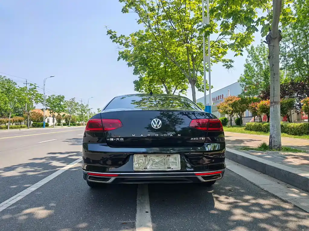 Volkswagen Magotan 2020 330TSI DSG Luxury Edition
