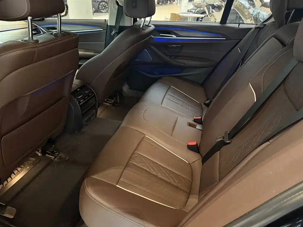 BMW 5 Series 2021 530Li Leading Edition Luxury Package