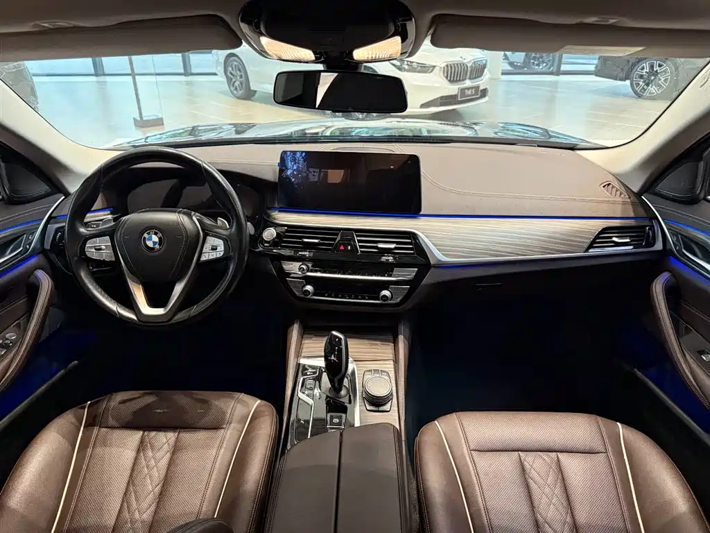BMW 5 Series 2021 530Li Leading Edition Luxury Package