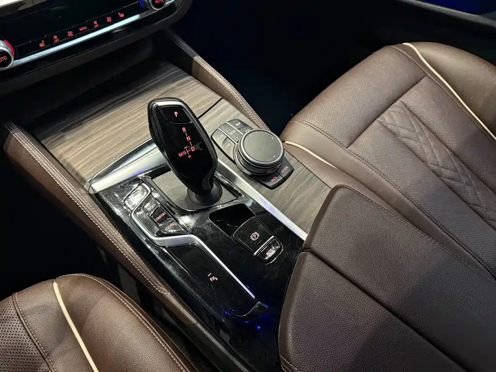 BMW 5 Series 2021 530Li Leading Edition Luxury Package