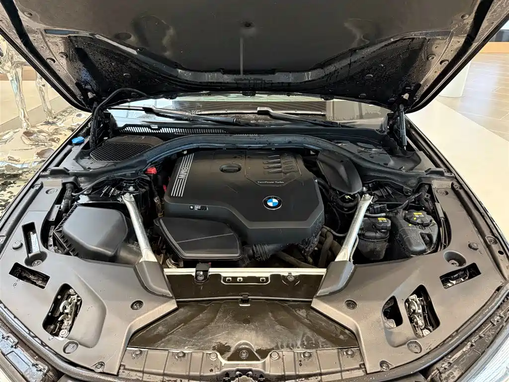 BMW 5 Series 2021 530Li Leading Edition Luxury Package
