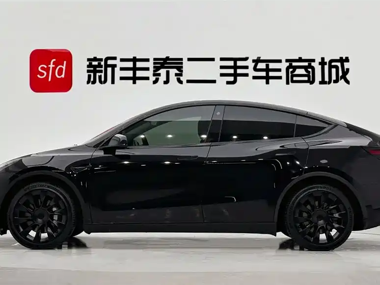 Model Y 2021 Standard Range Rear-Wheel Drive