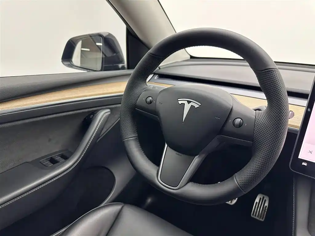 Model Y 2021 Standard Range Rear-Wheel Drive