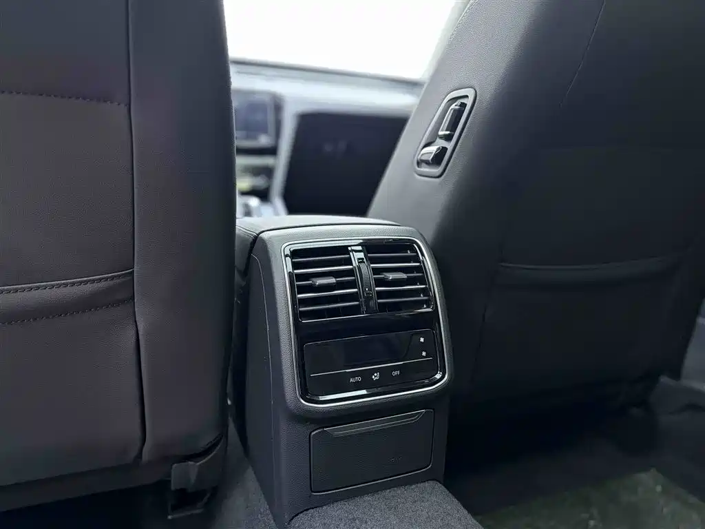 Volkswagen Magotan 2020 330TSI DSG Leading Edition