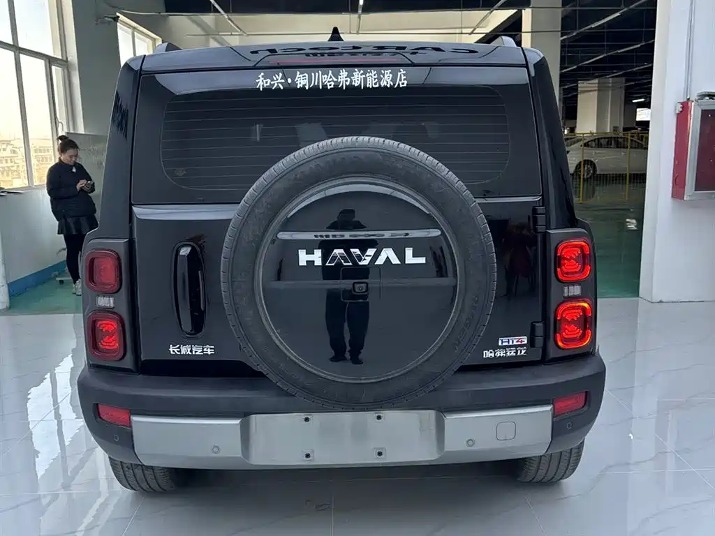 Haval Menglong New Energy 2024 Hi4 102 Pro