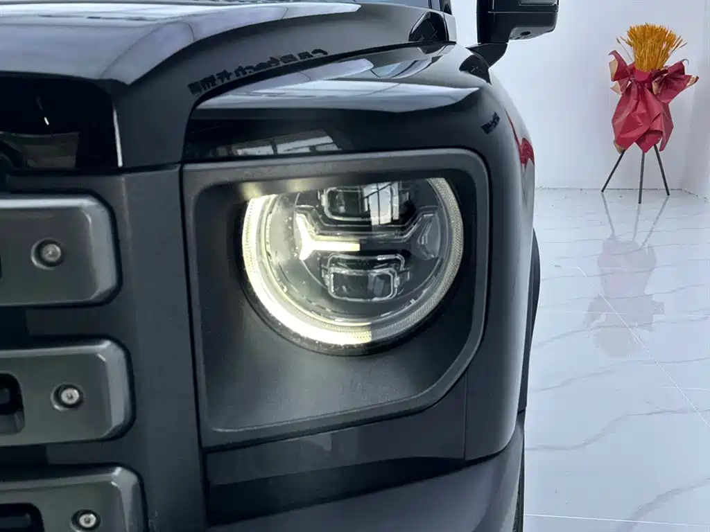 Haval Menglong New Energy 2024 Hi4 102 Pro