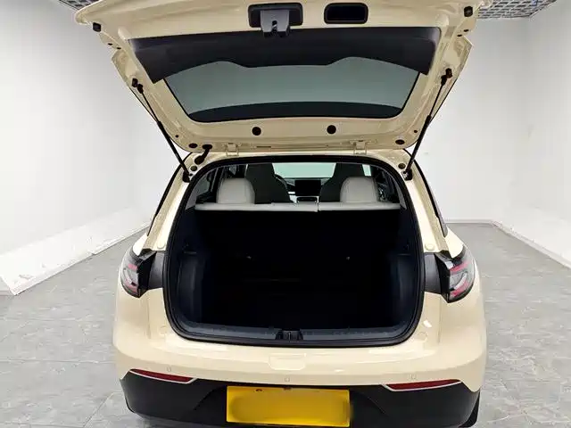 Geely Xingyuan 2025 310km Youth Edition