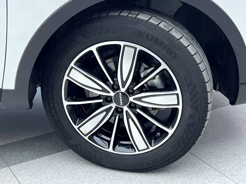 Haval H6 2023 National Trend Edition 1.5T Automatic Champion Edition