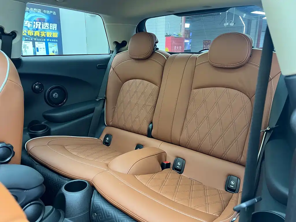 MINI 2022 2.0T COOPER S Artist Edition