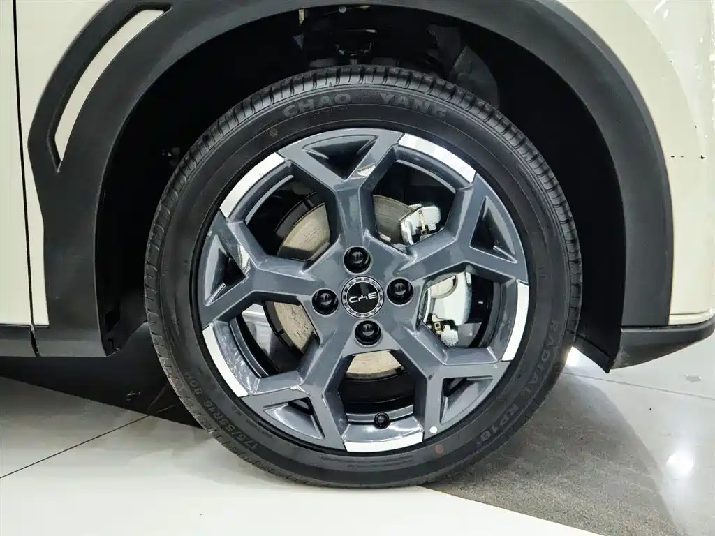 BYD Seagull 2025 305km Free Edition