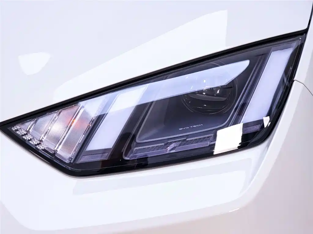 BYD Seagull 2025 305km Free Edition