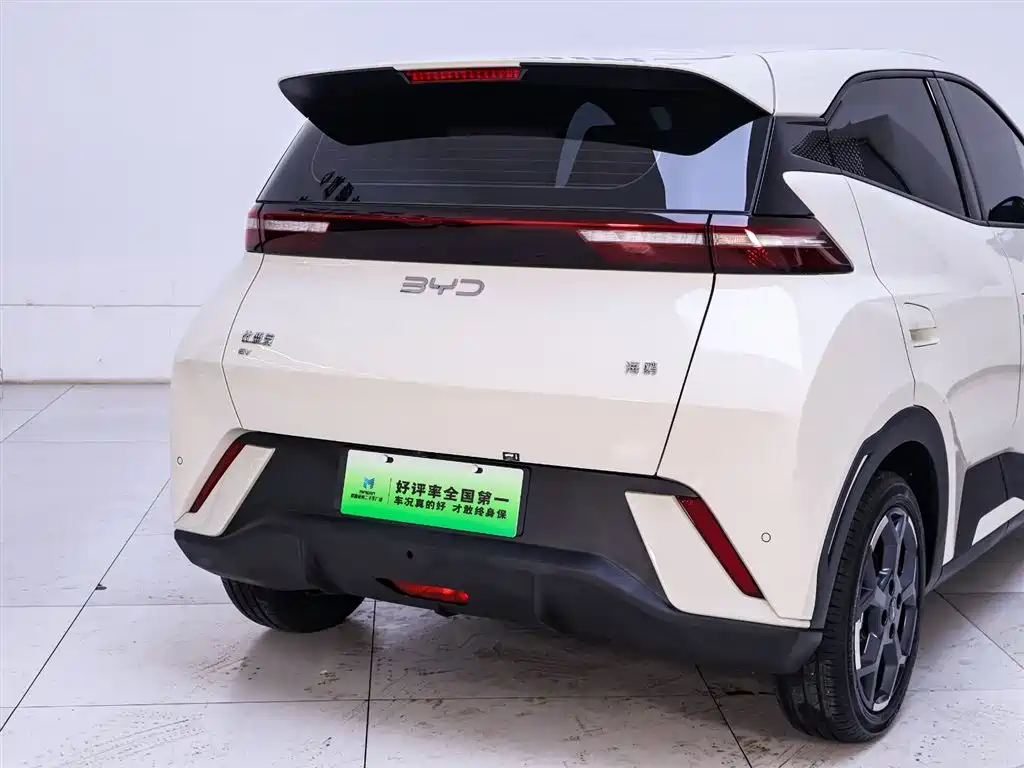 BYD Seagull 2025 305km Free Edition
