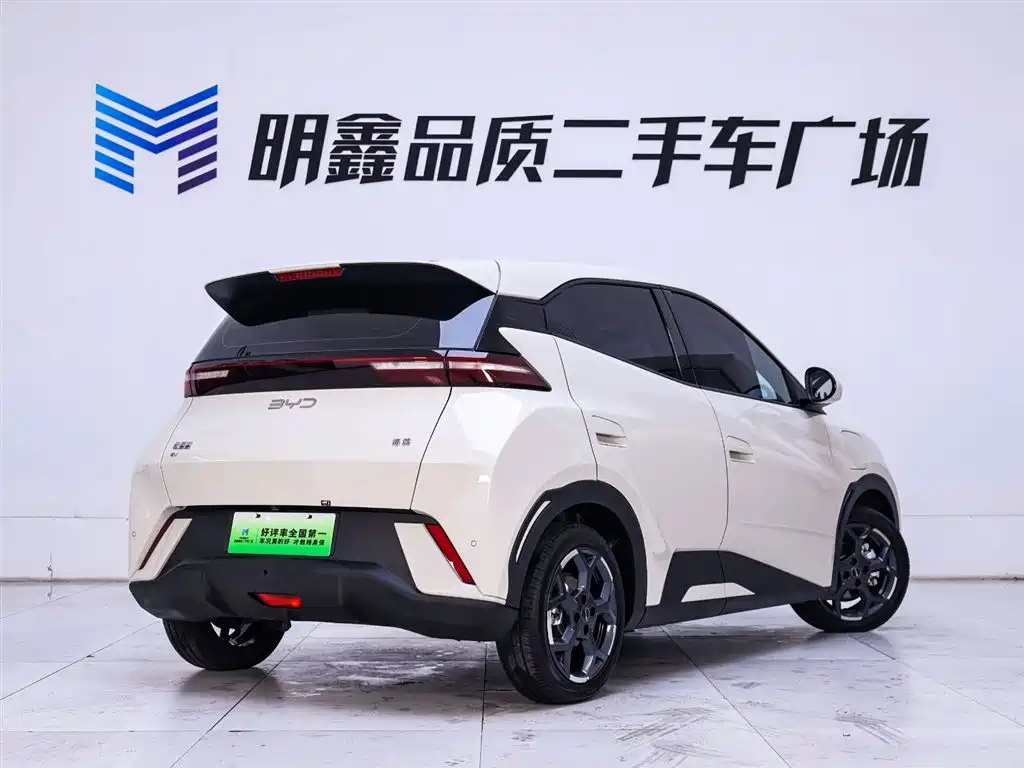 BYD Seagull 2025 305km Free Edition
