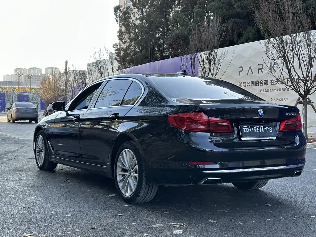 BMW 5 Series 2019 530Li Leading Edition Luxury Package
