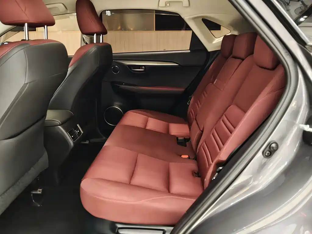 Lexus NX 2018 200 FWD Fengxing Edition China V