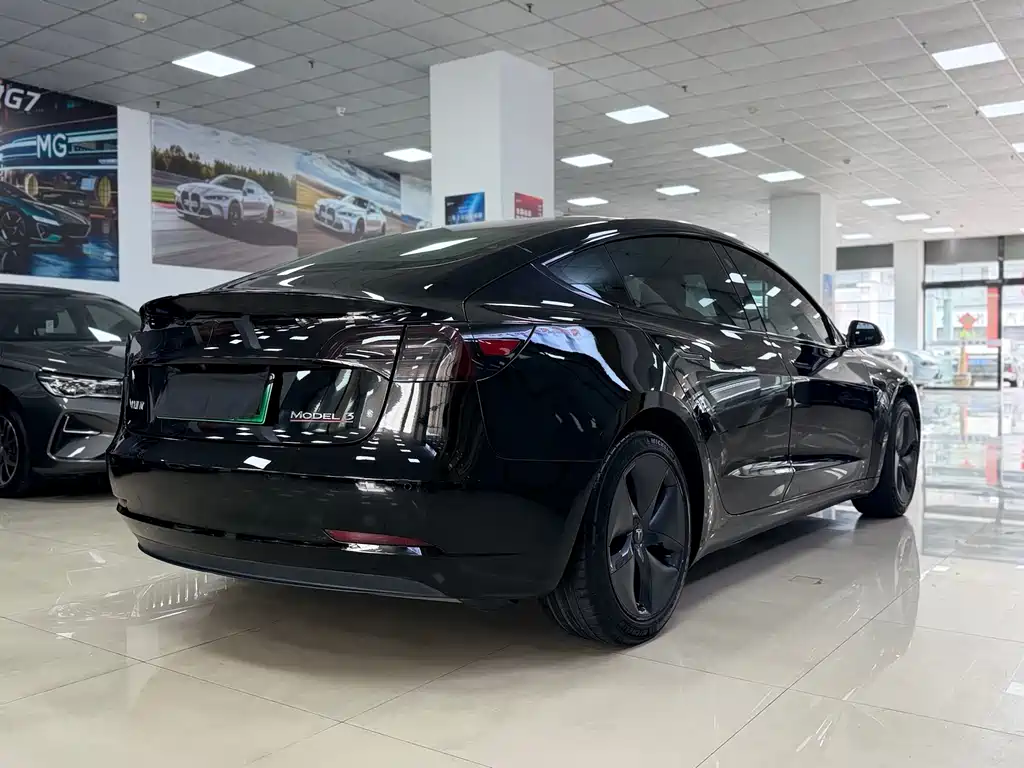 Tesla Model 3 2020 Standard Range Plus