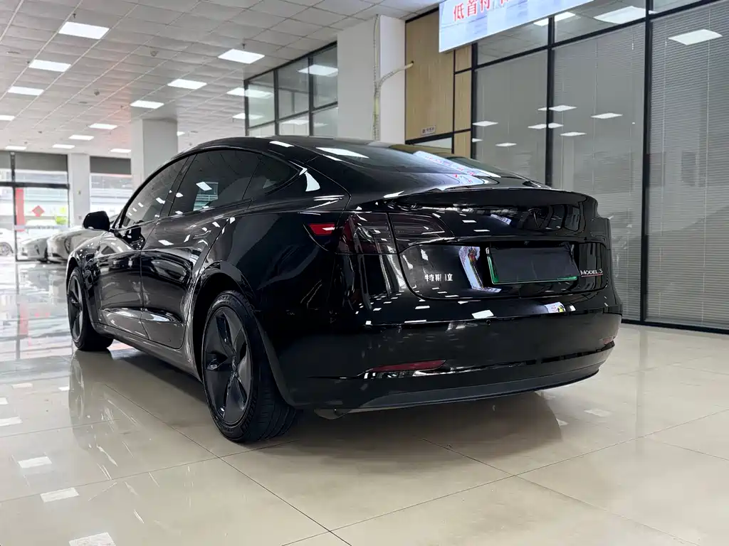Tesla Model 3 2020 Standard Range Plus