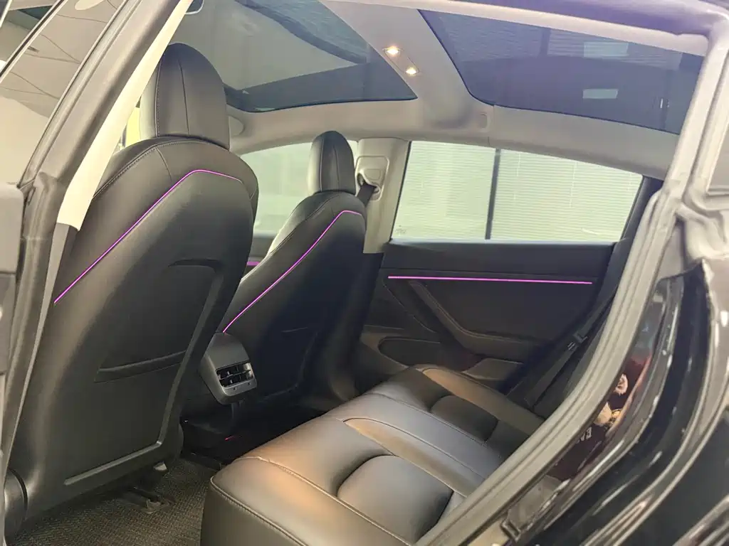 Tesla Model 3 2020 Standard Range Plus