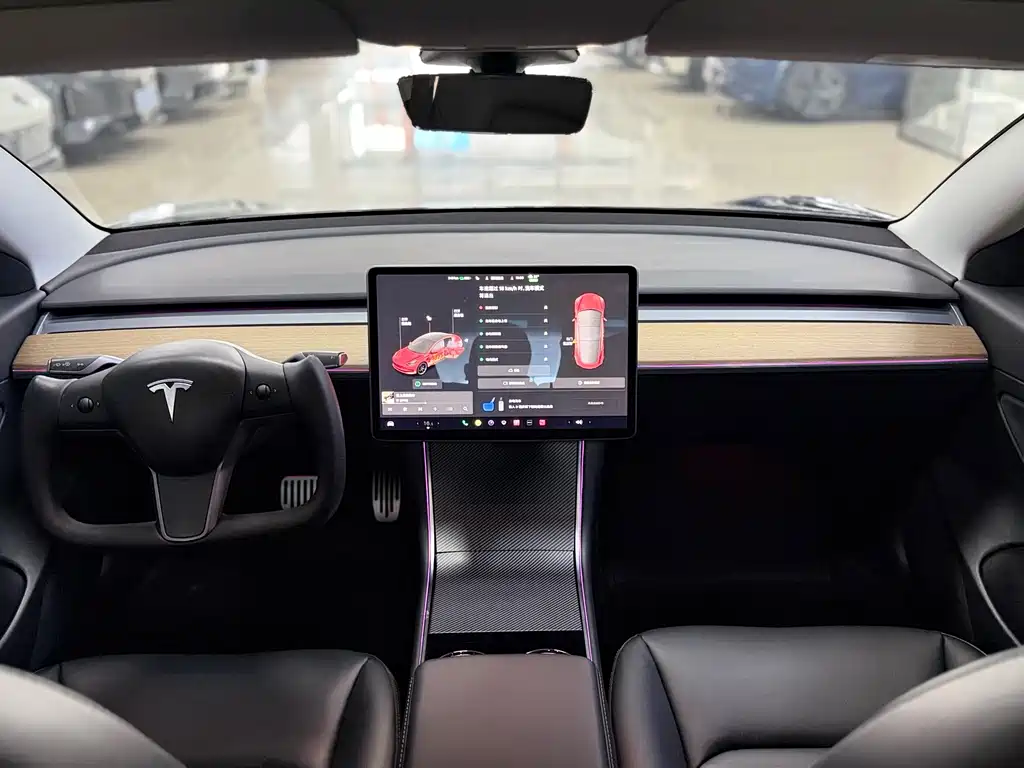 Tesla Model 3 2020 Standard Range Plus