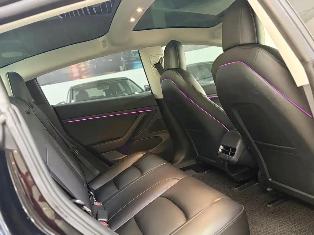 Tesla Model 3 2020 Standard Range Plus