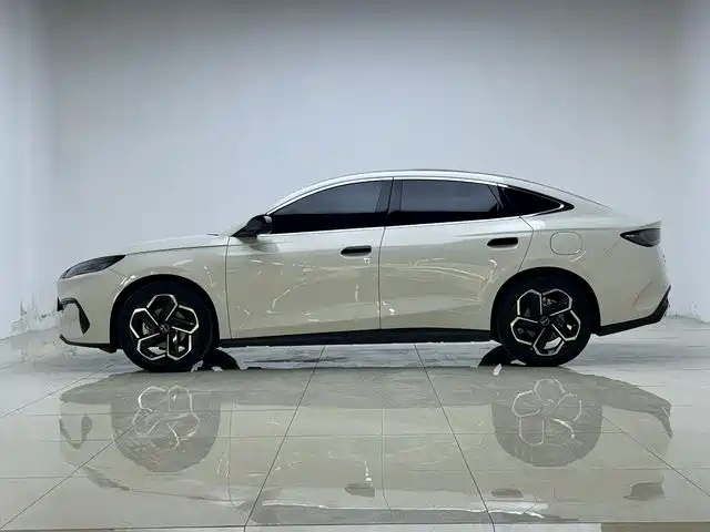Seal 06 2024 DM-i 120KM Flagship