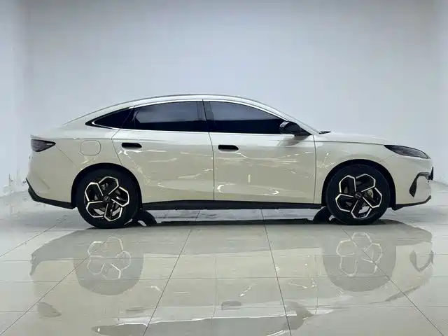 Seal 06 2024 DM-i 120KM Flagship