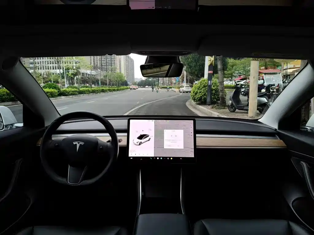Model 3 2019 Standard Range Plus RWD