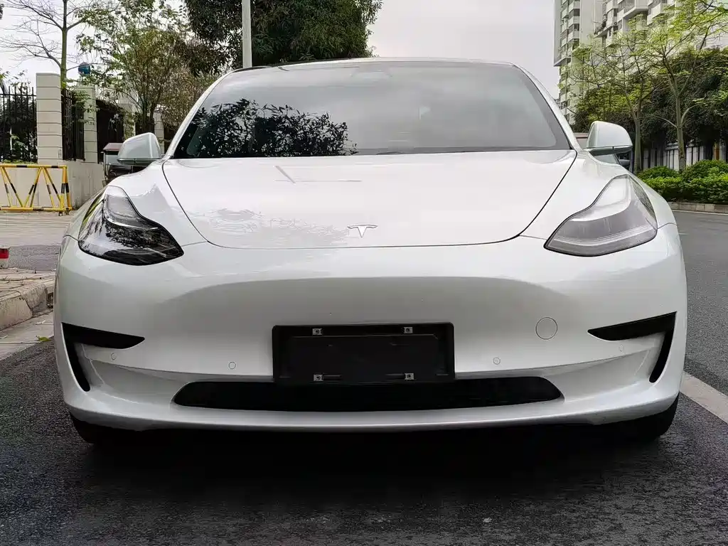 Model 3 2019 Standard Range Plus RWD