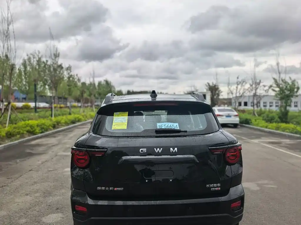 Haval Big Dog PLUS New Energy 2026 Hi4 150km Chao Dian Edition
