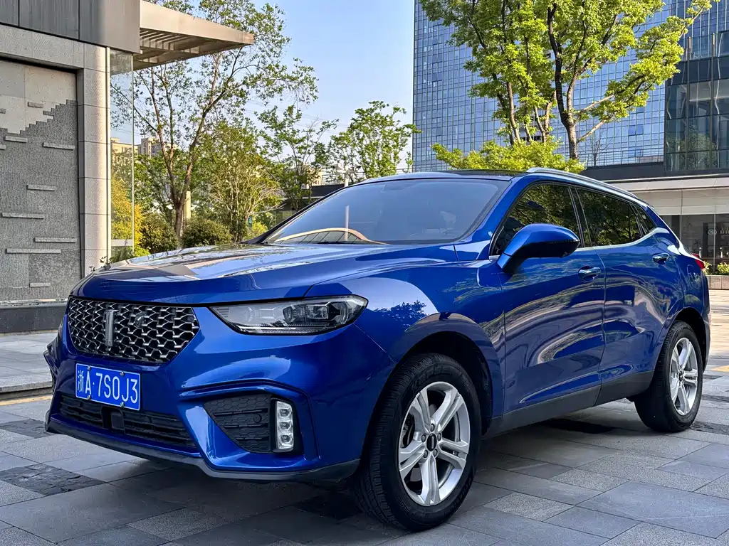 WEY VV5 2020 1.5T FWD Yan Xianfeng Edition