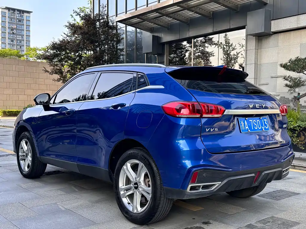 WEY VV5 2020 1.5T FWD Yan Xianfeng Edition