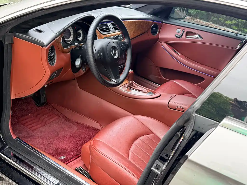 Mercedes-Benz CLS 2009 CLS 300