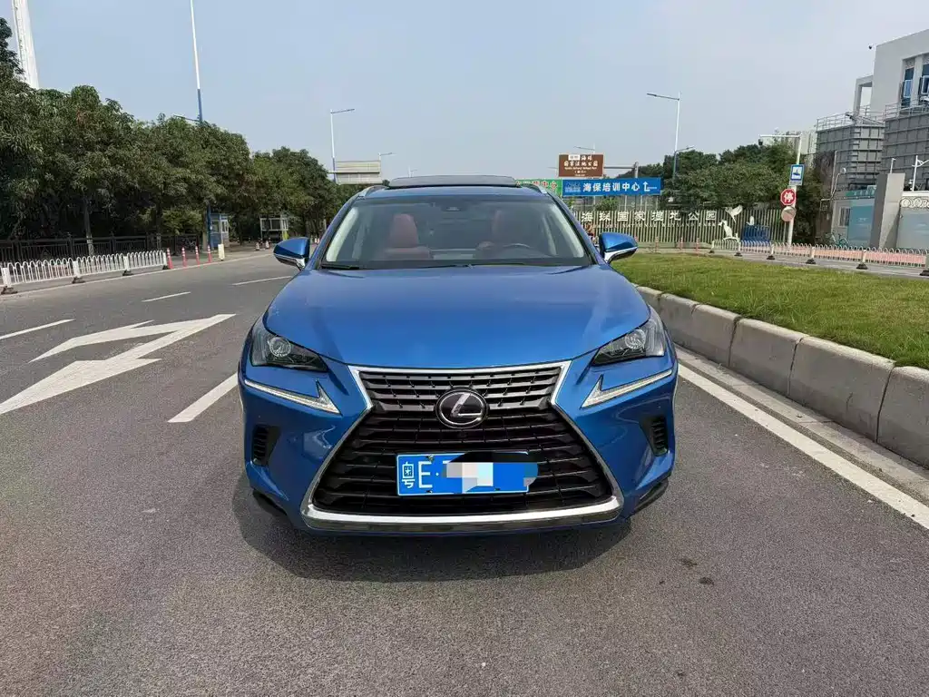 Lexus NX 2018 200 AWD F Sport China V