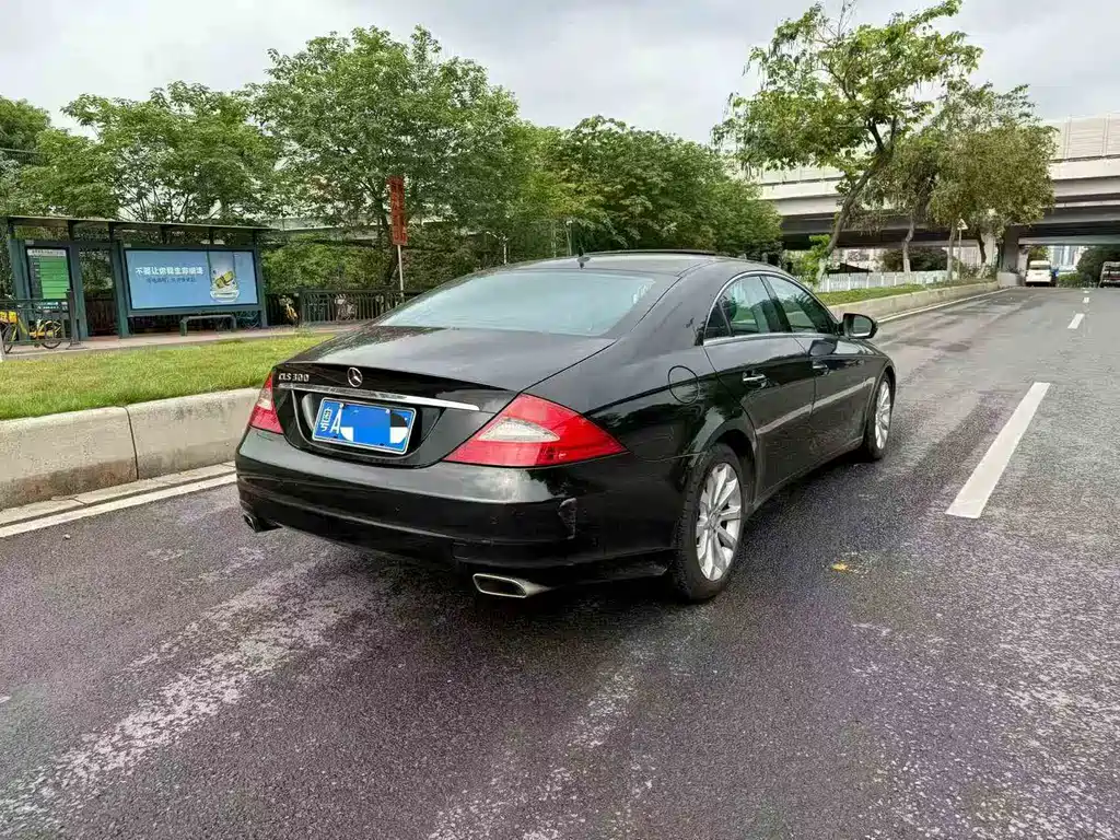 Mercedes-Benz CLS 2009 CLS 300