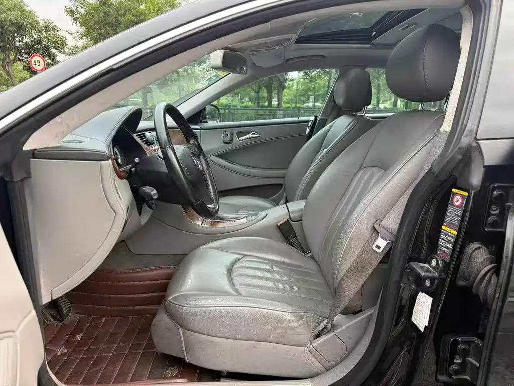 Mercedes-Benz CLS 2009 CLS 300