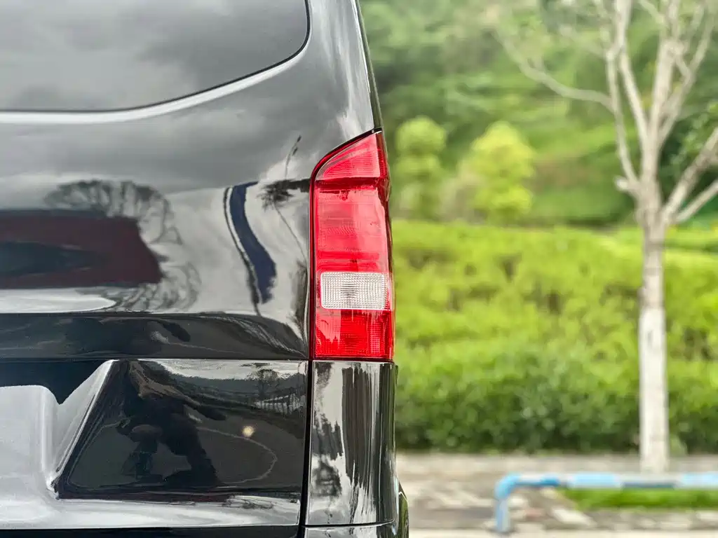Vito 2018 2.0T Business Edition China V