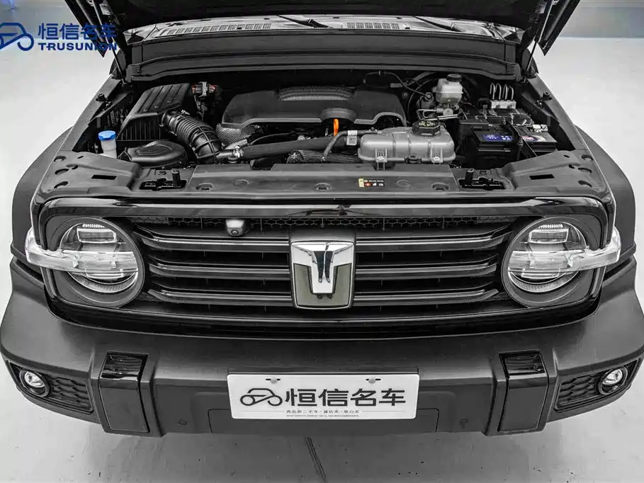 Tank 300 2024 2.0T Challenger